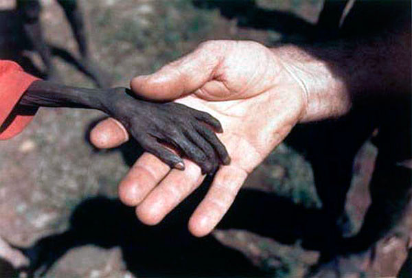 autor, Mike Wells. En http://www.escalofrio.com/n/Catastrofes/Fotos_que_no_se_Pueden_Olvidar/Fotos_que_no_se_Pueden_Olvidar.php "il.lustració"